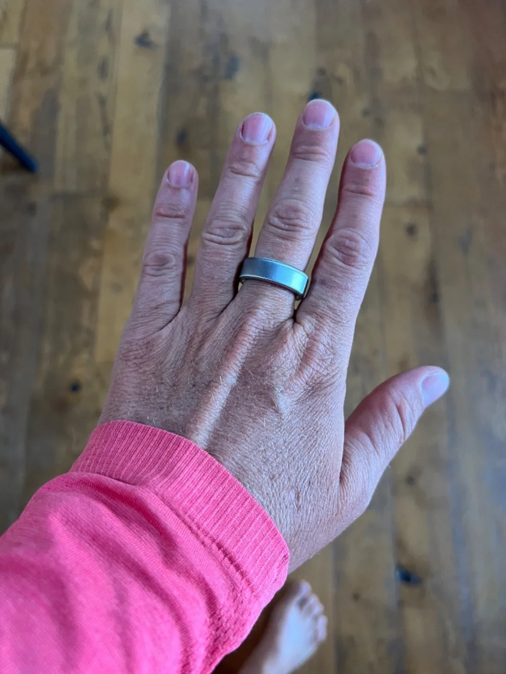Oura ring #4 - Size 9 (Brushed Silver)